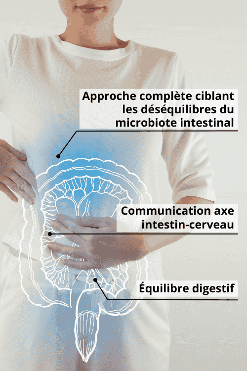 action équilibrante du Complexe Probiopur Tribiotique IBS sur la régulation du transit, qu’il soit ralenti ou accéléré